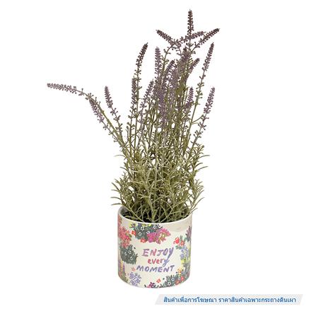 กระถางดินเผา SPRING JEEP 13.8 ซม. สีครีม_4