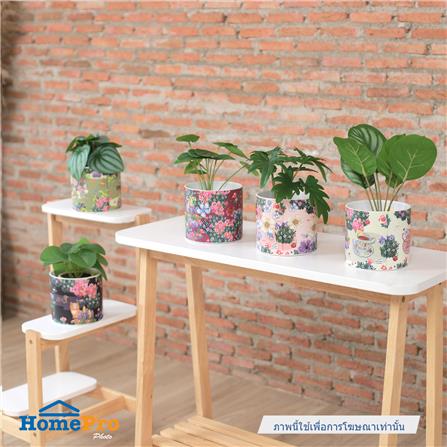 กระถางดินเผา SPRING JEEP 13.8 ซม. สีครีม_5