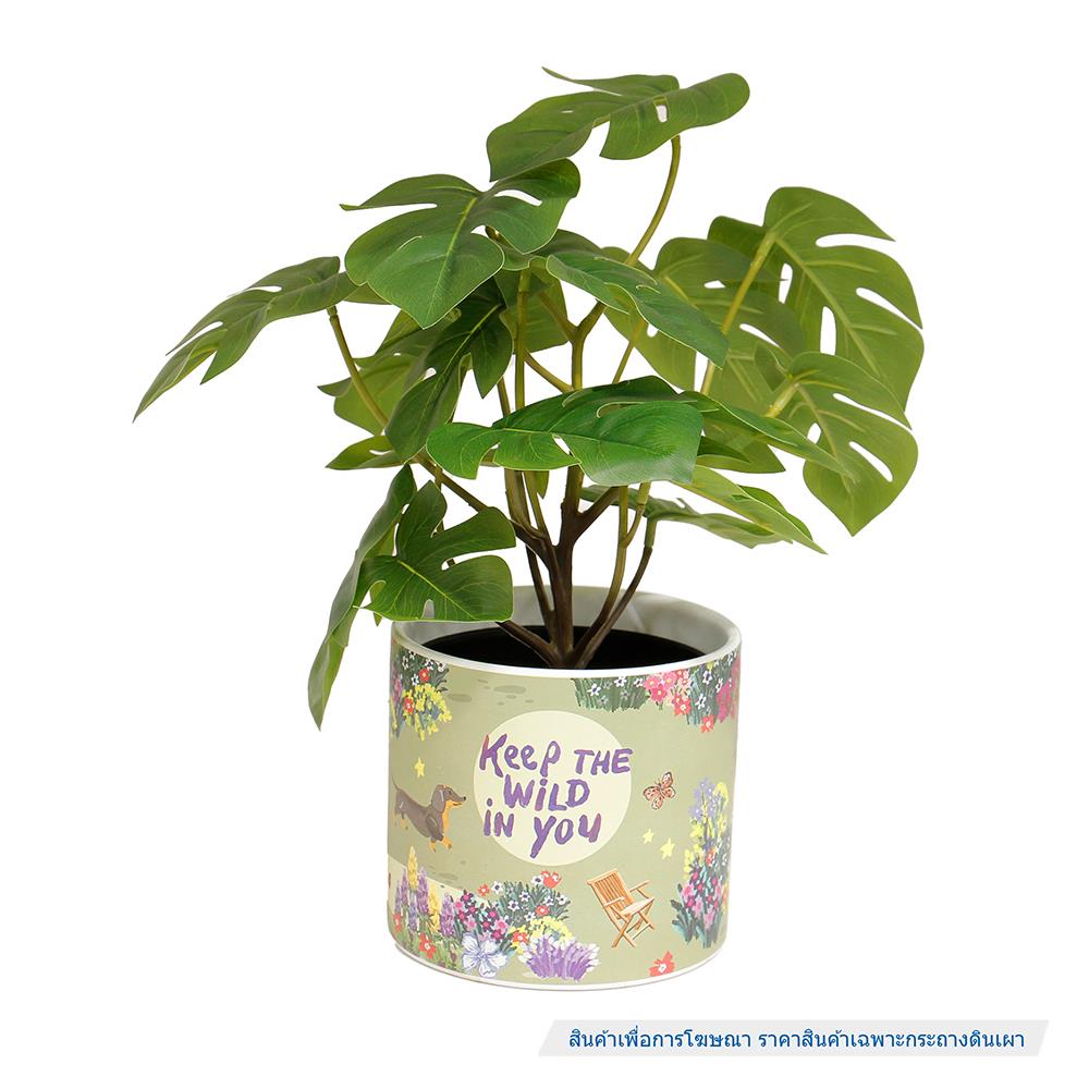 กระถางดินเผา SPRING JEEP 13.8 ซม. สีเขียว