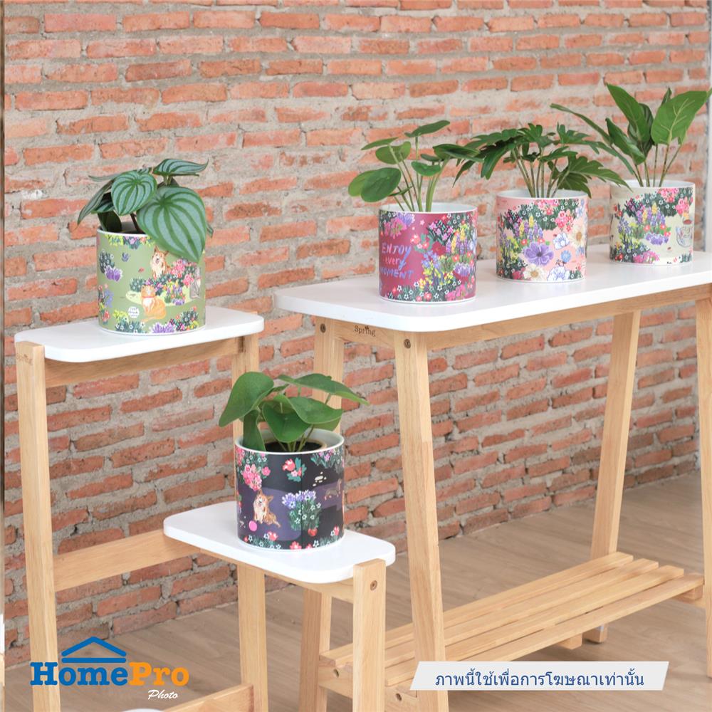 กระถางดินเผา SPRING JEEP 13.8 ซม. สีเขียว