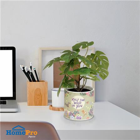 กระถางดินเผา SPRING JEEP 13.8 ซม. สีเขียว_6