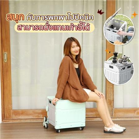 รถเข็นอเนกประสงค์ EAZY TOOLS SHOPSHOP CART สีเทา_9