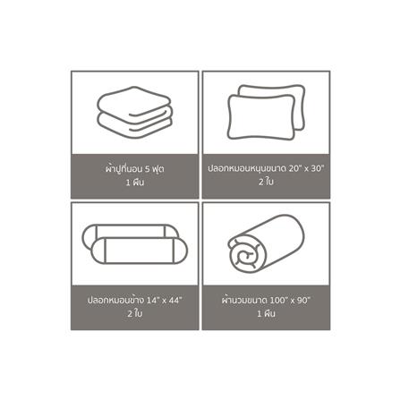 ชุดผ้าปูที่นอน 5 ฟุต 6 ชิ้น FACINO PRINT FA067_4
