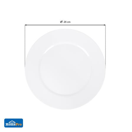 จานปีก OPAL GLASS 10 นิ้ว KECH AURA_5