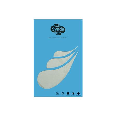 ปลอกหมอนหนุน SYNDA VASTNESSA สี CREAM_2