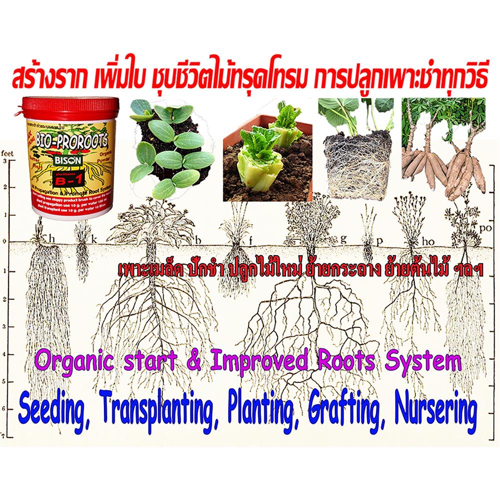 อาหารพืชผงบำรุงรากและใบ BISON 50 ก.