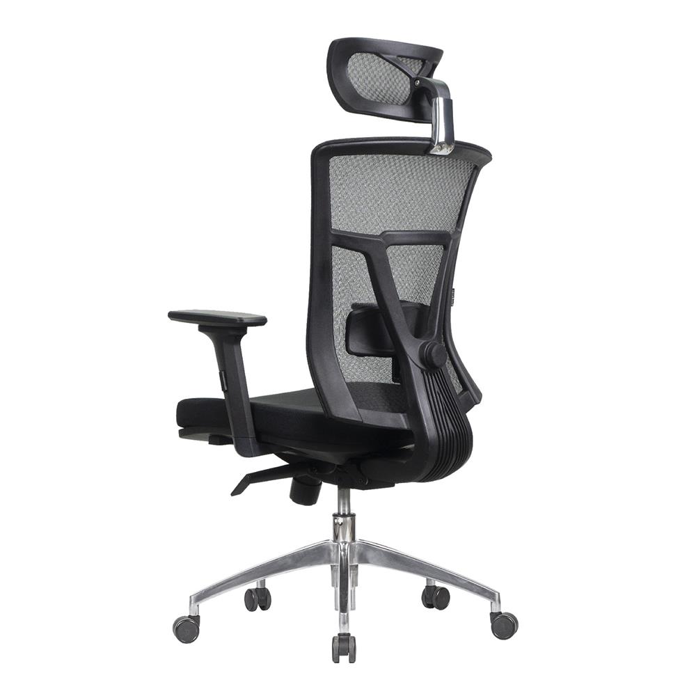 เก้าอี้เพื่อสุขภาพ WORKSCAPE VERONA EM-207E สีดำ