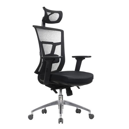 เก้าอี้เพื่อสุขภาพ WORKSCAPE VERONA EM-207E สีดำ_2