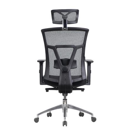 เก้าอี้เพื่อสุขภาพ WORKSCAPE VERONA EM-207E สีดำ_4