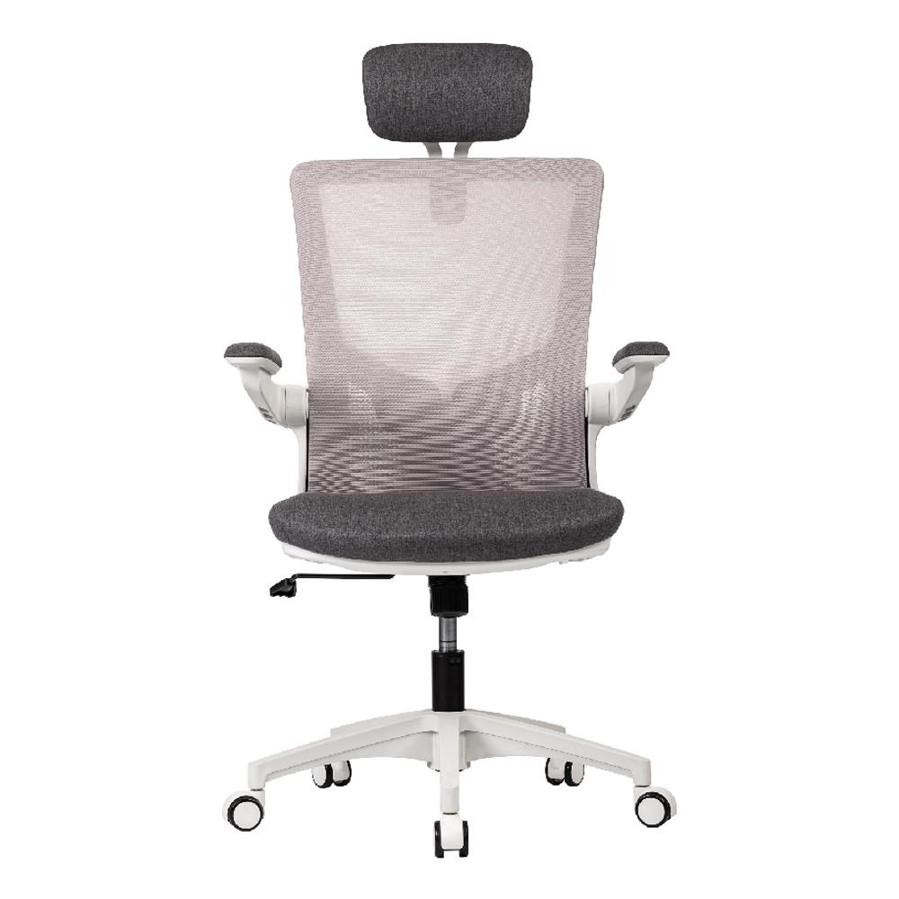 เก้าอี้สุขภาพ WORKSCAPE Luna Rain WCH-00005 สีเทา