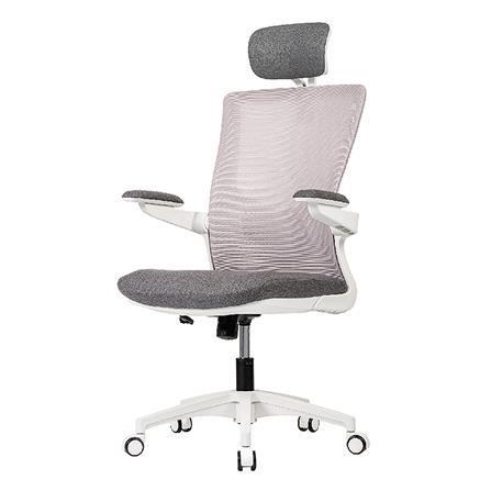 เก้าอี้สุขภาพ WORKSCAPE Luna Rain WCH-00005 สีเทา