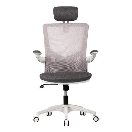 เก้าอี้สุขภาพ WORKSCAPE Luna Rain WCH-00005 สีเทา_1