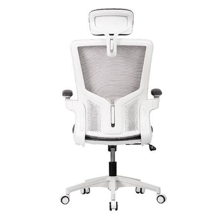 เก้าอี้สุขภาพ WORKSCAPE Luna Rain WCH-00005 สีเทา_5