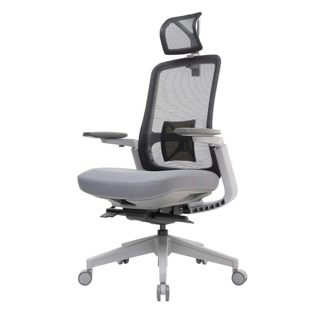 D.I.Y. เก้าอี้สุขภาพ WORKSCAPE LIBRA WCH-00001 สีเทาเข้ม