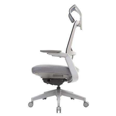 D.I.Y. เก้าอี้สุขภาพ WORKSCAPE LIBRA WCH-00001 สีเทาเข้ม_1