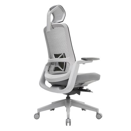 D.I.Y. เก้าอี้สุขภาพ WORKSCAPE LIBRA WCH-00001 สีเทาเข้ม_2