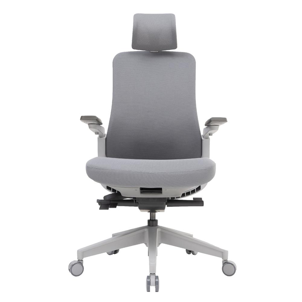 D.I.Y.เก้าอี้สุขภาพ WORKSCAPE LIBRA WCH-00002 สีเทา