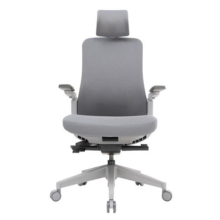 D.I.Y.เก้าอี้สุขภาพ WORKSCAPE LIBRA WCH-00002 สีเทา_1