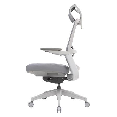 D.I.Y.เก้าอี้สุขภาพ WORKSCAPE LIBRA WCH-00002 สีเทา_2