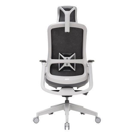 D.I.Y.เก้าอี้สุขภาพ WORKSCAPE LIBRA WCH-00002 สีเทา_5