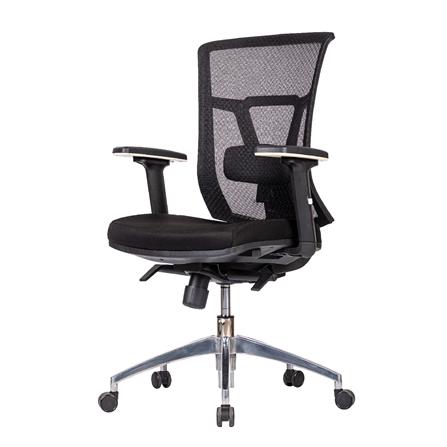 D.I.Y. เก้าอี้สุขภาพ WORKSCAPE VERONA รุ่น EM-207D สีดำ