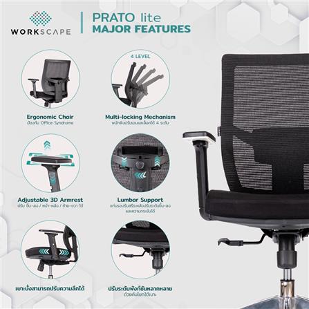 D.I.Y. เก้าอี้สุขภาพ WORKSCAPE PRATO Lite EM-209D สีดำ_7