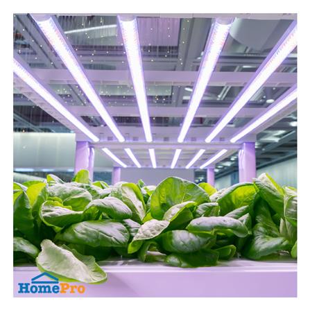 ชุดรางนีออน LED SHINING T5 PGL 9 วัตต์ สีม่วง_3