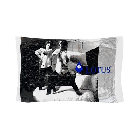 หมอนหนุนสุญญากาศ LOTUS 20x30 นิ้ว สีขาว_2