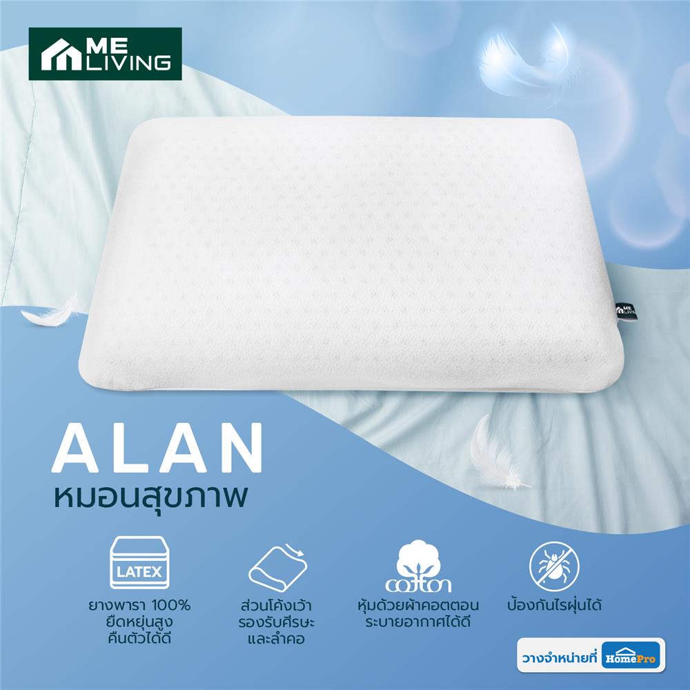 หมอนสุขภาพ ยางพารา ME LIVING ALAN 15x23 นิ้ว