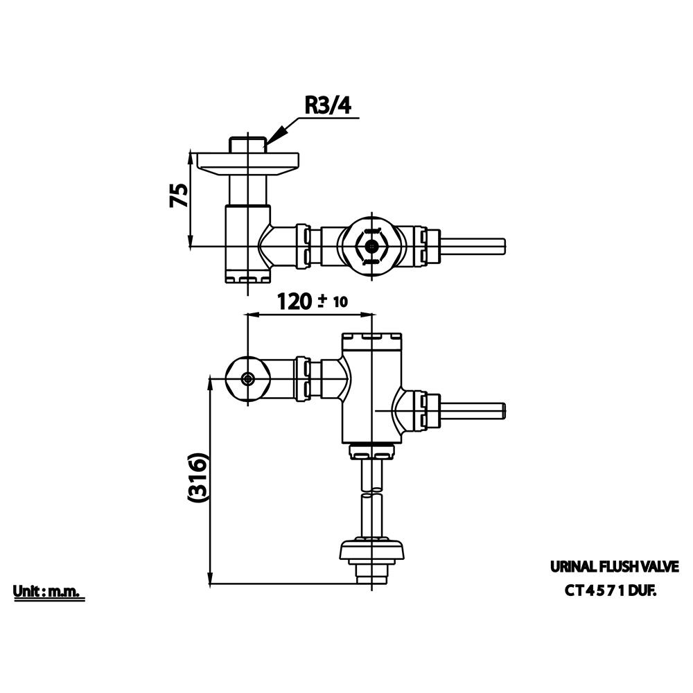 ฟลัชวาล์วโถชายท่อตรง COTTO CT4571DUF