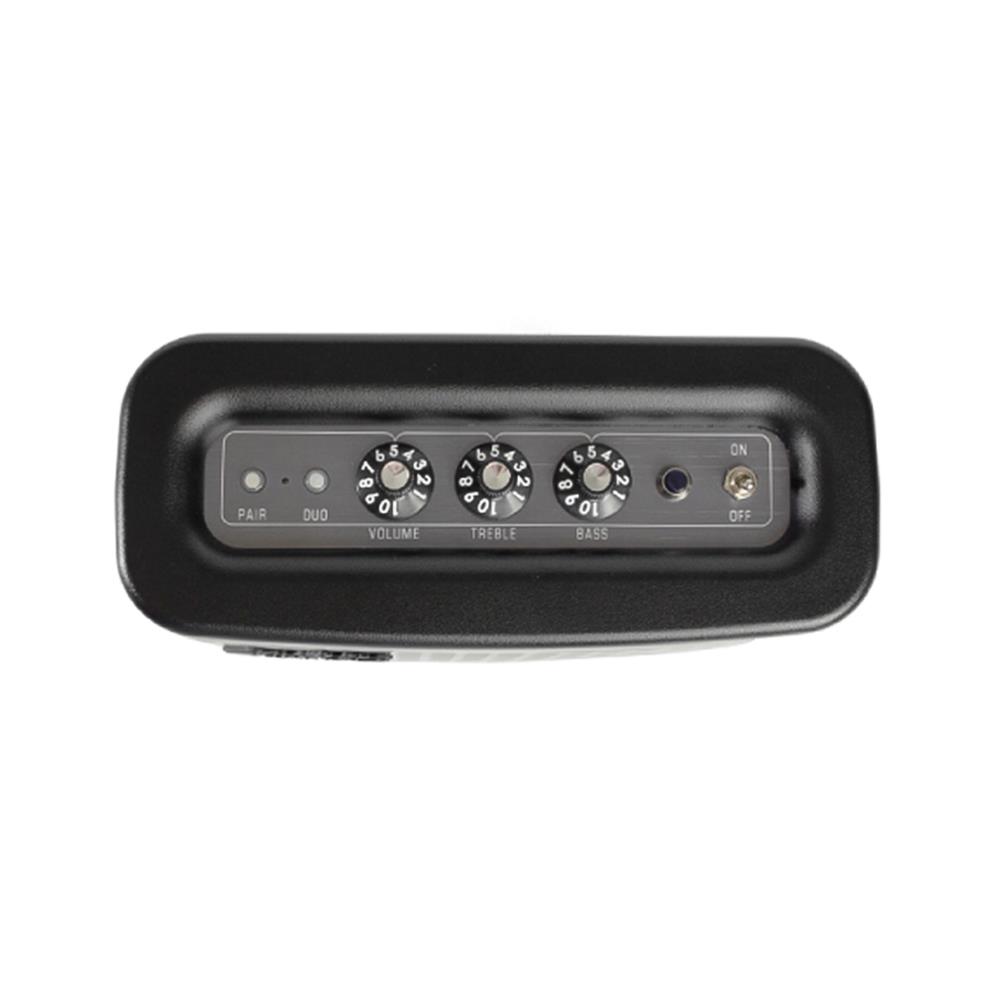 ลำโพงบลูทูธ FENDER NEWPORT 2 สีดำ