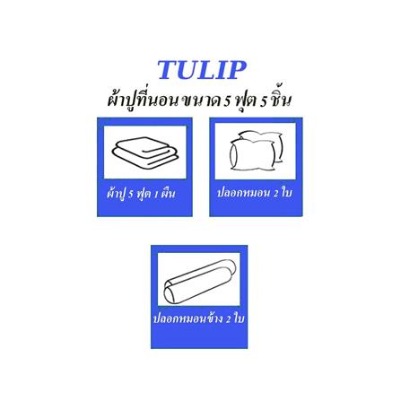 ชุดผ้าปูที่นอน 5 ฟุต 5 ชิ้น TULIP MICRO JQ 01076-TJ007_4