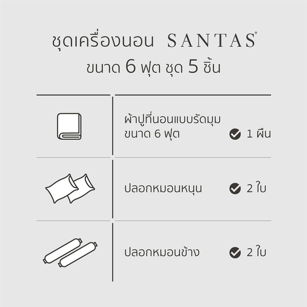 ชุดผ้าปูที่นอน 6 ฟุต 5 ชิ้น SANTAS BUBBLY CR
