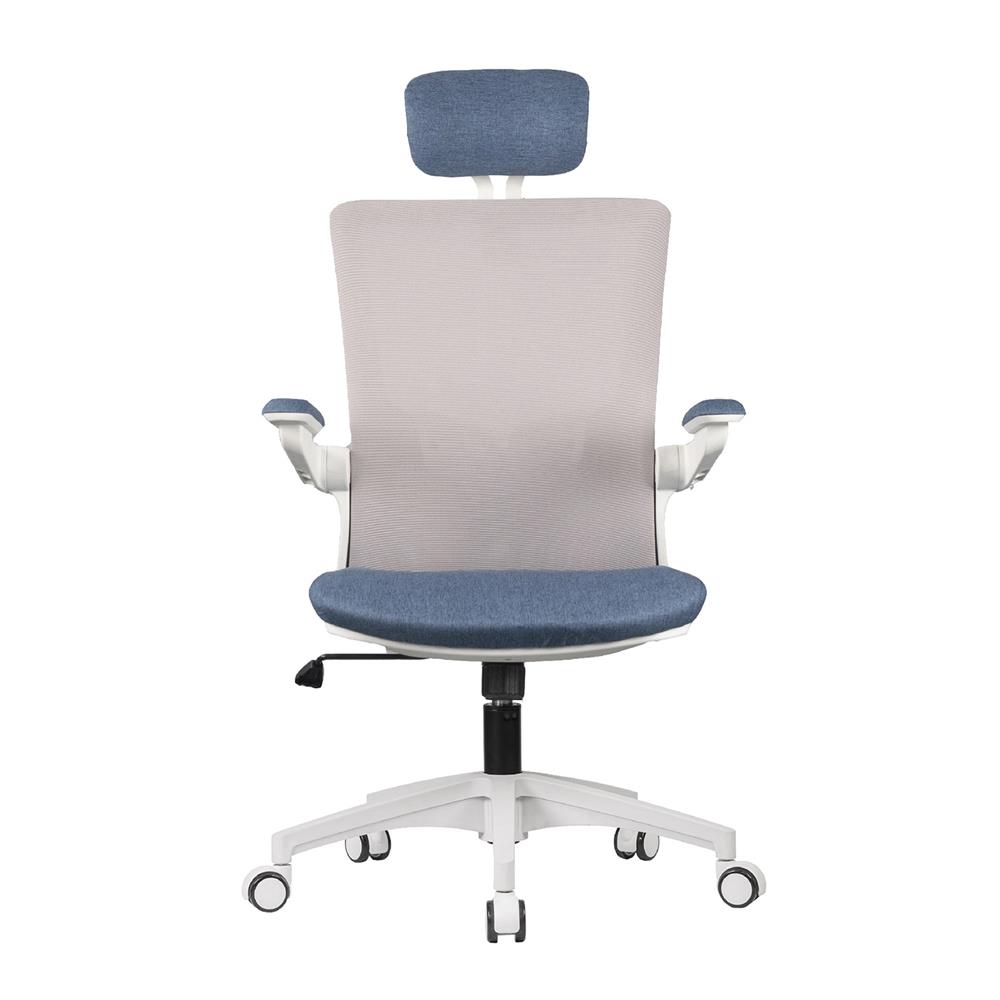 D.I.Y. เก้าอี้สุขภาพ WORKSCAPE LUNA SEA WCH-00005 สีขาว-น้ำเงิน