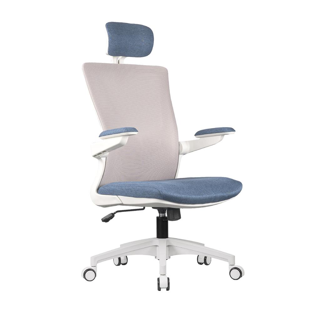 D.I.Y. เก้าอี้สุขภาพ WORKSCAPE LUNA SEA WCH-00005 สีขาว-น้ำเงิน