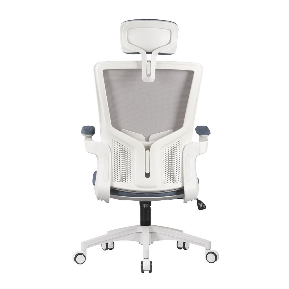 D.I.Y. เก้าอี้สุขภาพ WORKSCAPE LUNA SEA WCH-00005 สีขาว-น้ำเงิน