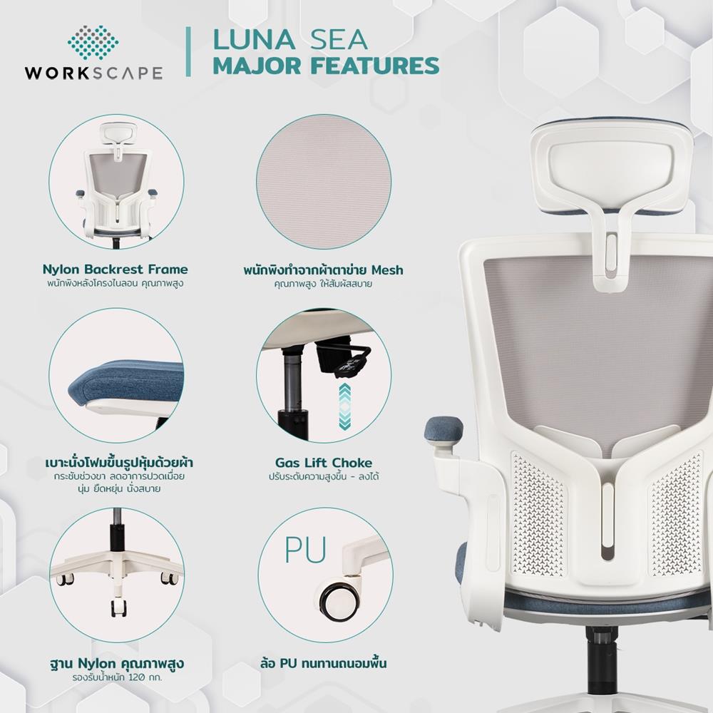 D.I.Y. เก้าอี้สุขภาพ WORKSCAPE LUNA SEA WCH-00005 สีขาว-น้ำเงิน