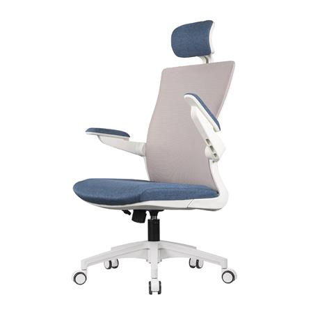 D.I.Y. เก้าอี้สุขภาพ WORKSCAPE LUNA SEA WCH-00005 สีขาว-น้ำเงิน