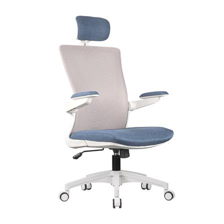 D.I.Y. เก้าอี้สุขภาพ WORKSCAPE LUNA SEA WCH-00005 สีขาว-น้ำเงิน_2