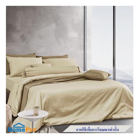 ผ้านวม PERICO REGAL SOLID 60X80 นิ้ว RS081_3