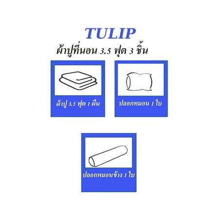ชุดผ้าปูที่นอน 3.5 ฟุต 3 ชิ้น TULIP DELIGHT 60014-DL079_4