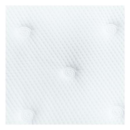 แผ่นรองนอน 5 ฟุต LADY AMERICANA SUPER PLATINUM_3