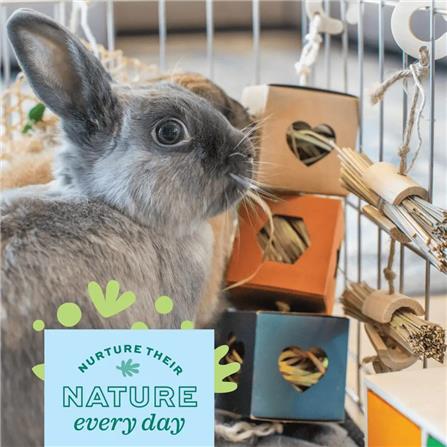 ของเล่นสัตว์ฟันแทะ OXBOW ENRICHED LIFE HIDE BOX HANGER_3