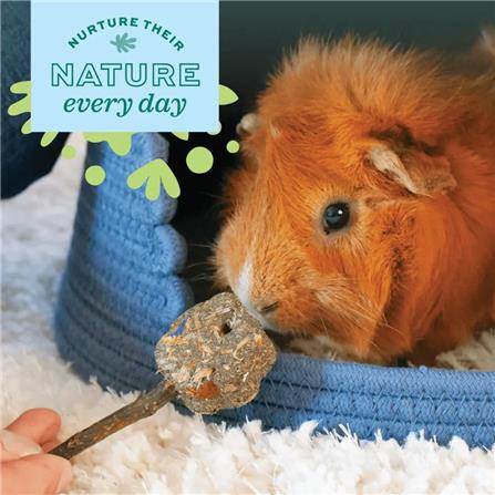 ของเล่นสัตว์ฟันแทะ OXBOW ENRICHED LIFE TIMMY POP_4