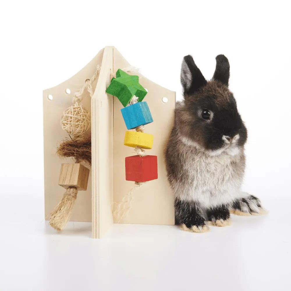 ของเล่นสัตว์ฟันแทะ OXBOW ENRICHED LIFE PLAY CENTER ไซซ์ S