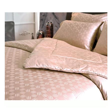 ชุดผ้าปูที่นอน 6 ฟุต 5 ชิ้น JESSICA PLATINUM 21043QZ002_1