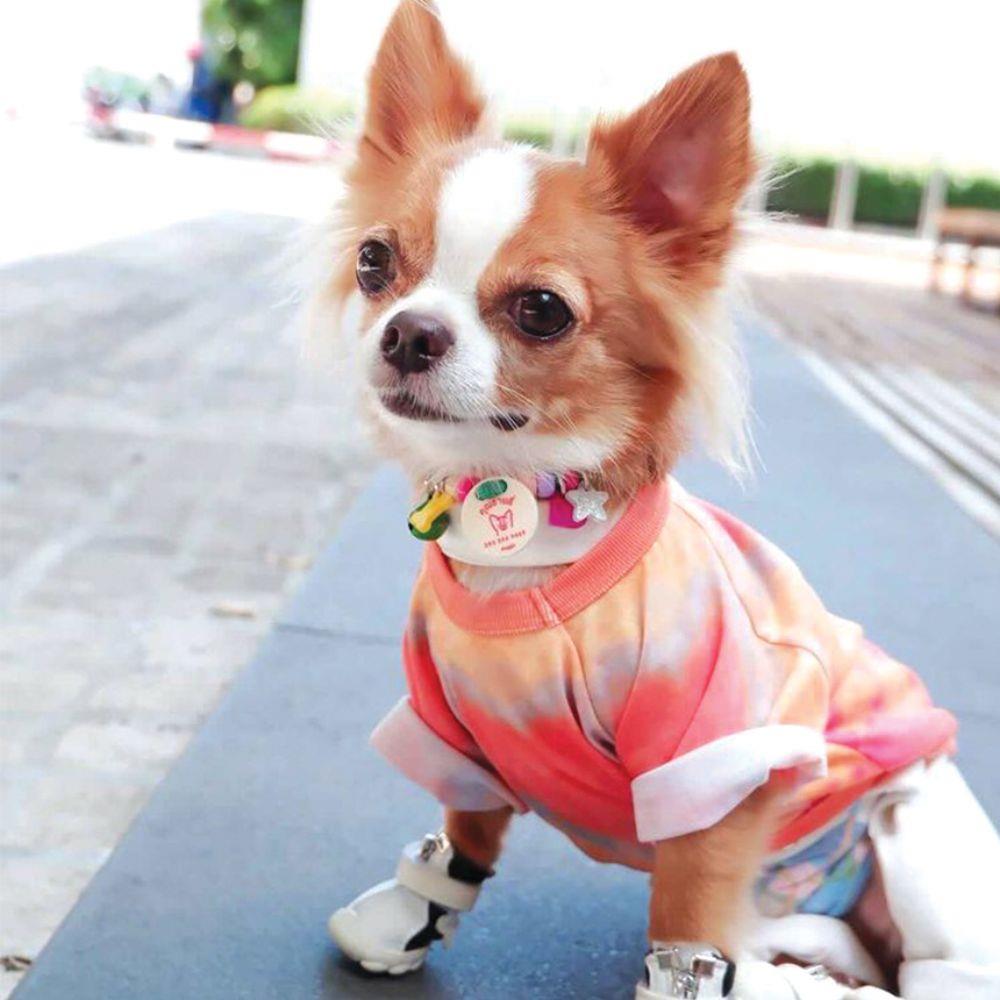 เสื้อสัตว์เลี้ยง CLAWSET ไอ้ต้าว ไซซ์ S สีชมพู