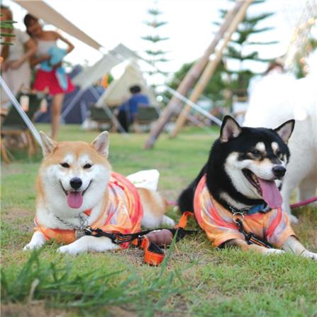 เสื้อสัตว์เลี้ยง CLAWSET ลายสัตว์สงวน ไซซ์ L สีเขียว_3