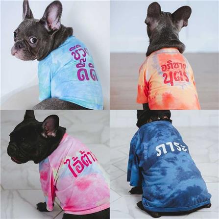 เสื้อสัตว์เลี้ยง CLAWSET ลายชีวิตดี๊ดี ไซซ์ 3XL สีฟ้า_2