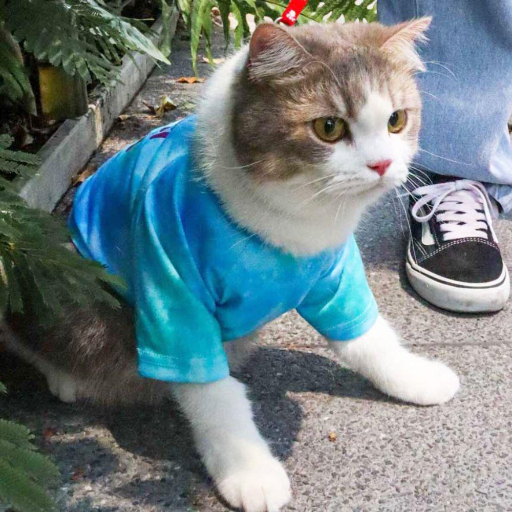 เสื้อสัตว์เลี้ยง CLAWSET ลายชีวิตดี๊ดี ไซซ์ M สีฟ้า